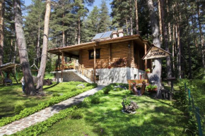  Villa Borovinka  Батак